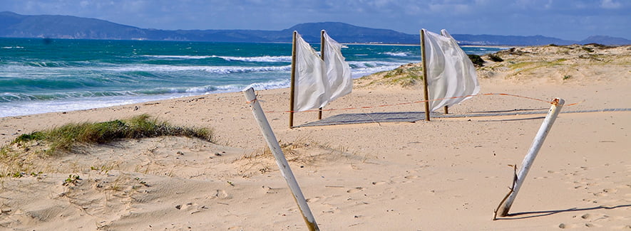 Comporta | The perfect blend of rugged and refined